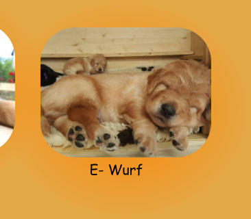 E- Wurf